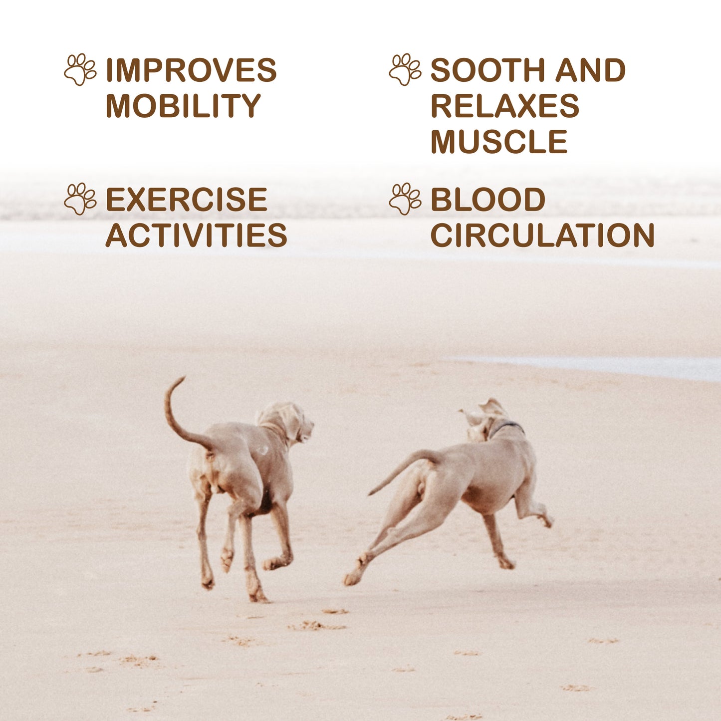 Senior Dog Arnica Pain Relief Massage Oil - Kelebs