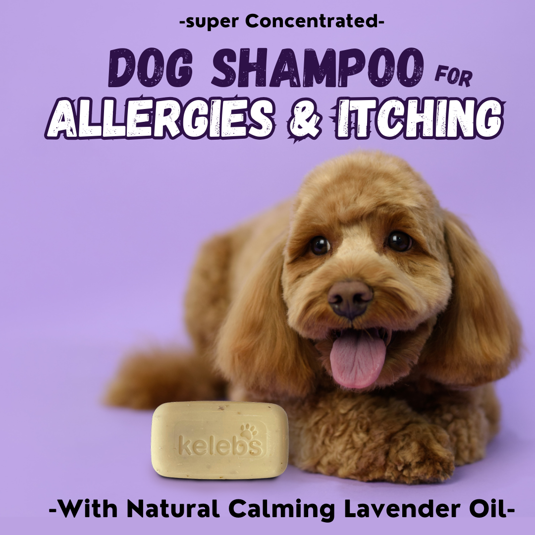 Natural Calming Dog Shampoo Bar - Kelebs