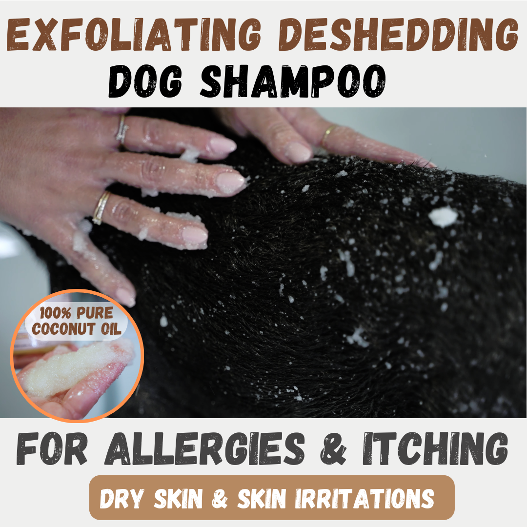 Post Shampoo Dog Scrub