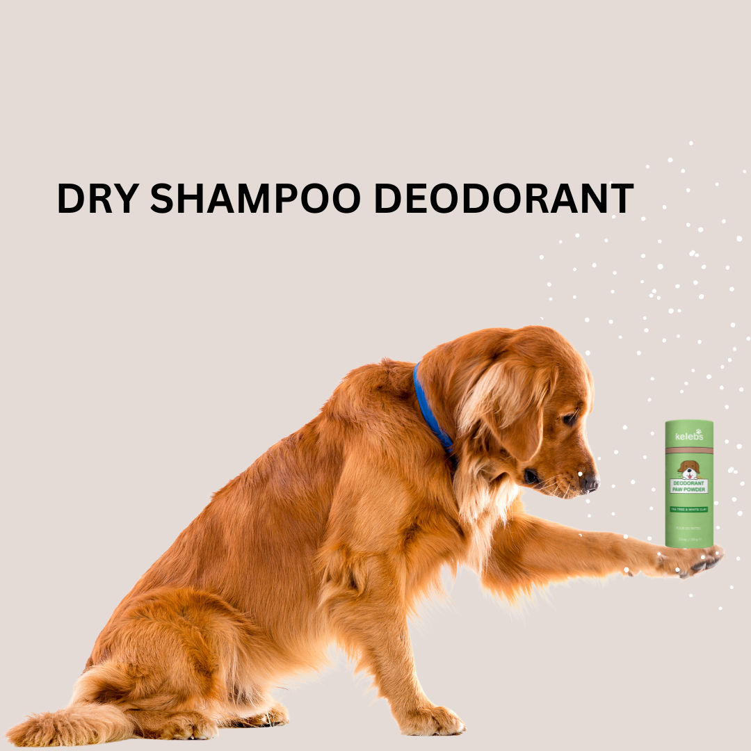 Antifungal Deodorizing Dry Shampoo - Kelebs