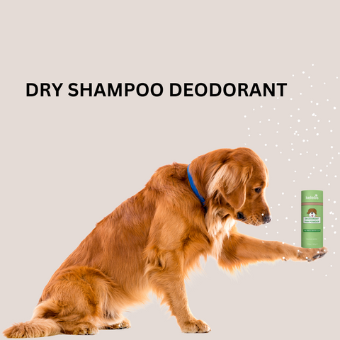 V-dog Shampoo bar  Cruelty-Free & Gentle Dog Shampoo Bar – v-dog